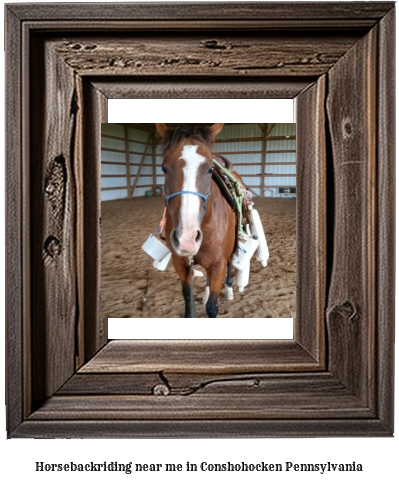 horseback riding near me in Conshohocken, Pennsylvania